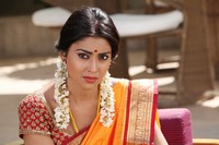 Shriya Spicy Photos in Pavithra
